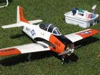 Electric Fly